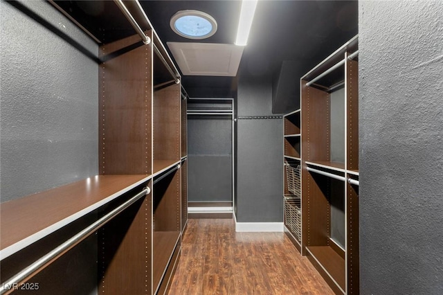 walk in closet with dark wood finished floors