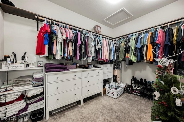 walk in closet featuring carpet floors and attic access