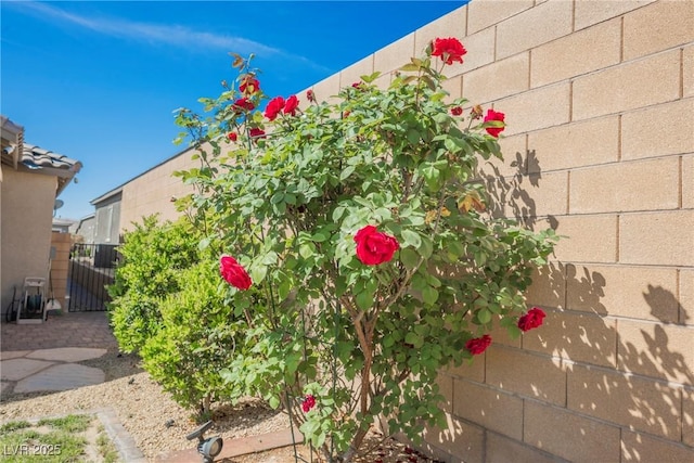 10126 Cliff Dwellings Ave, Las Vegas, NV 89178 - view of yard