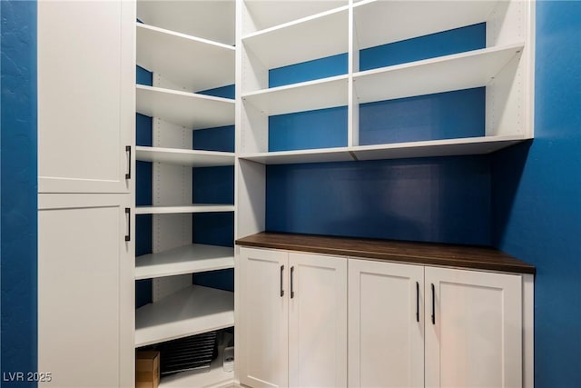 10126 Cliff Dwellings Ave, Las Vegas, NV 89178 - view of pantry