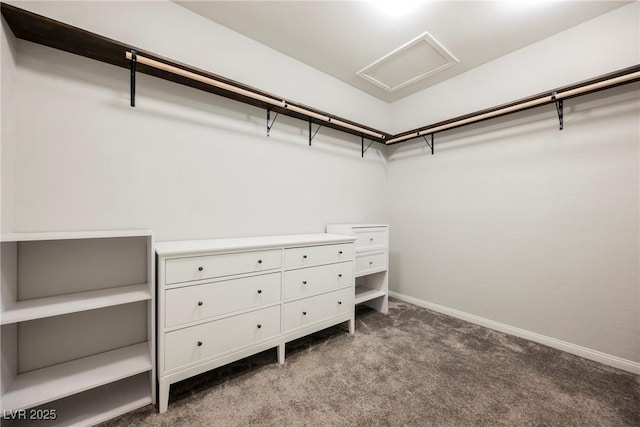 10126 Cliff Dwellings Ave, Las Vegas, NV 89178 - walk in closet featuring carpet flooring and attic access