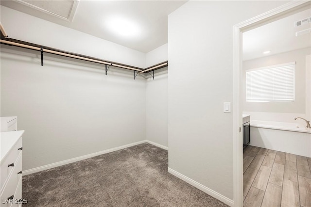 10126 Cliff Dwellings Ave, Las Vegas, NV 89178 - walk in closet featuring light carpet