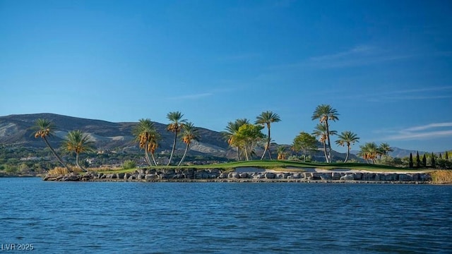 100 Via Franello, Henderson, NV 89011 - photo 12