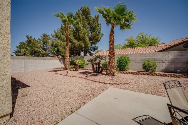 view of yard featuring a fenced backyard and a patio area