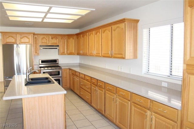 kitchen featuring ventilation hood, stainless steel appliances, light countertops, a sink, and a center island with sink