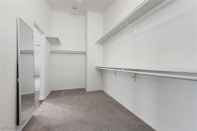 283 Grand Olympia Dr, Henderson, NV 89012 - walk in closet with carpet flooring