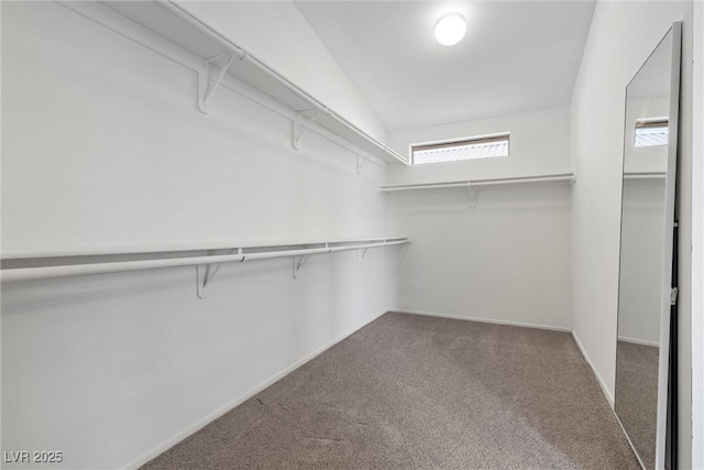 283 Grand Olympia Dr, Henderson, NV 89012 - spacious closet featuring carpet floors