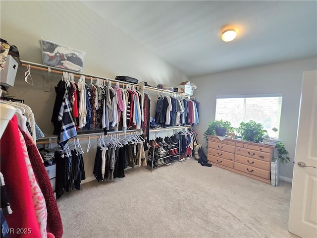 8303 Saddleback Ledge Ave, Las Vegas, NV 89147 - walk in closet with carpet floors and lofted ceiling