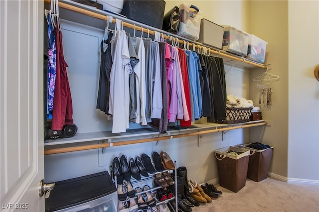 8303 Saddleback Ledge Ave, Las Vegas, NV 89147 - spacious closet with carpet floors