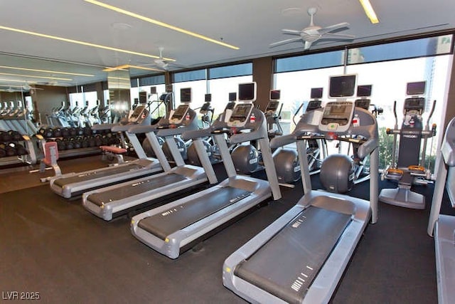 gym with ceiling fan and a healthy amount of sunlight