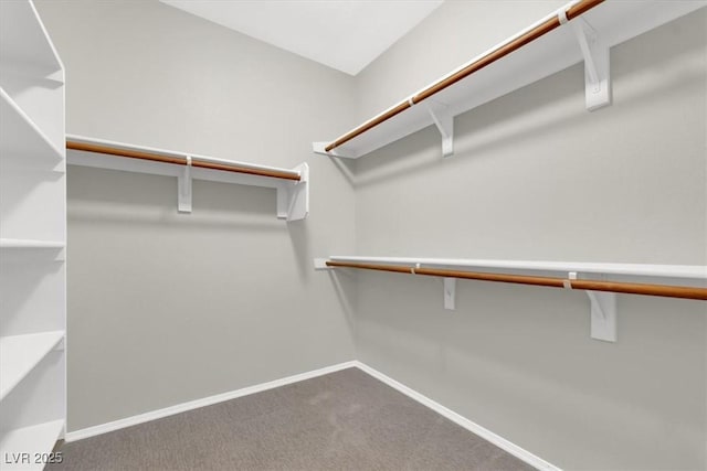 walk in closet featuring carpet