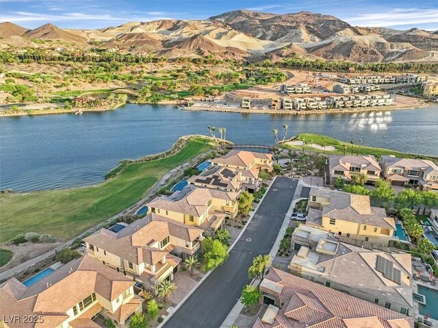 46 Bella Lago Ave, Henderson, NV 89011 - photo 69