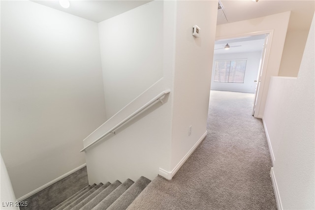 stairs with baseboards and carpet