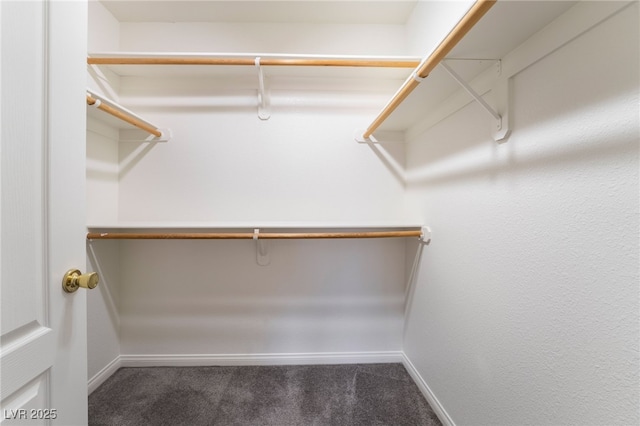 walk in closet with carpet flooring