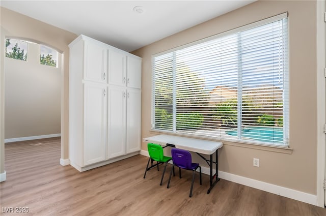 office featuring a wealth of natural light and light wood-type flooring