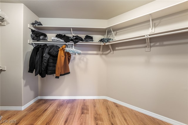 spacious closet with wood finished floors