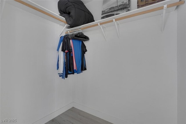 walk in closet with wood finished floors