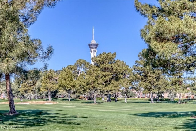 view of home's community with a lawn
