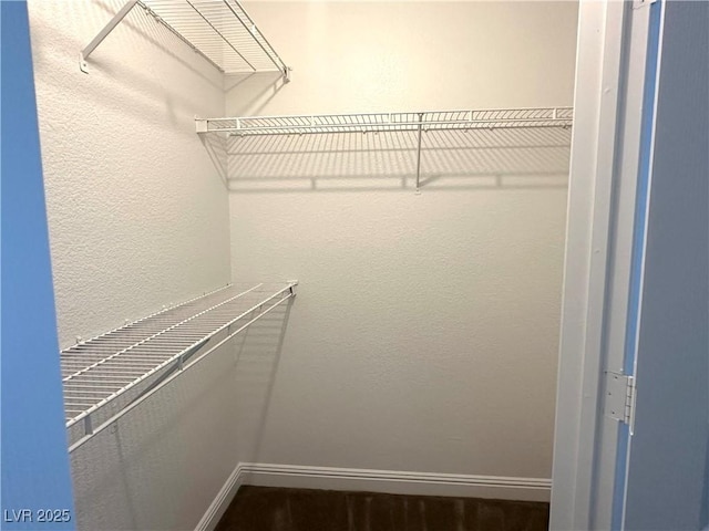 5055 W Hacienda Ave Unit 1095, Las Vegas, NV 89118 - view of walk in closet