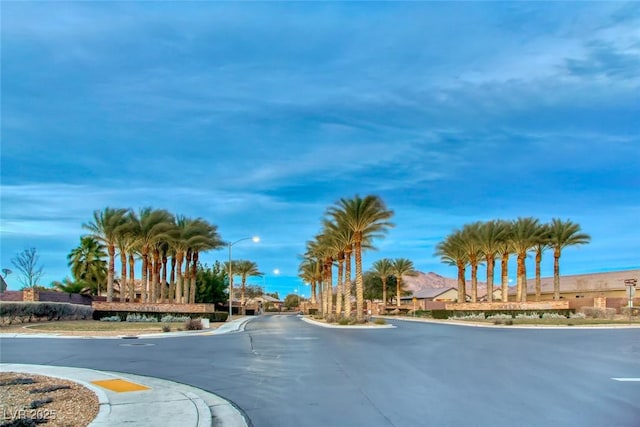 6116 Tokara Ave, Las Vegas, NV 89122 - view of street with street lights and curbs