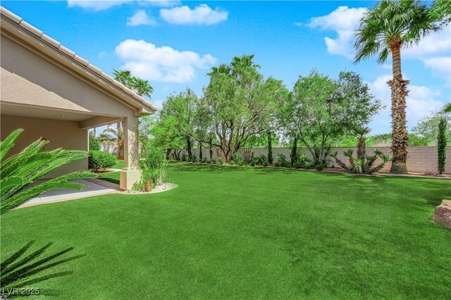 4722 Blue Mesa Way, Las Vegas, NV 89129 - view of yard