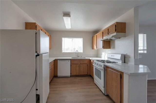 3953 Rebecca Raiter Ave Unit 202, Las Vegas, NV 89110 - kitchen with white appliances, light countertops, under cabinet range hood, a sink, and light wood finished floors