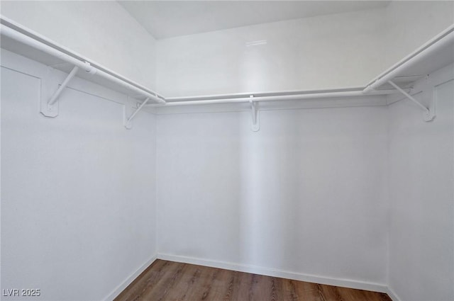 3953 Rebecca Raiter Ave Unit 202, Las Vegas, NV 89110 - spacious closet featuring dark wood-style flooring