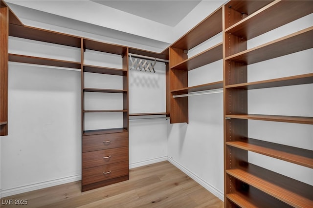 spacious closet with light wood-style floors