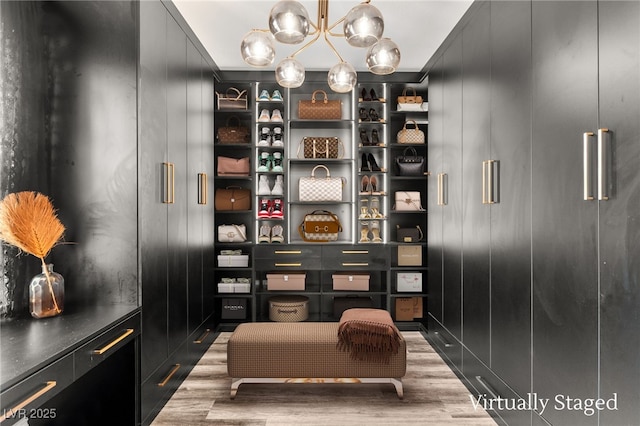 spacious closet with light wood finished floors