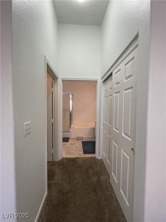 hallway featuring carpet flooring