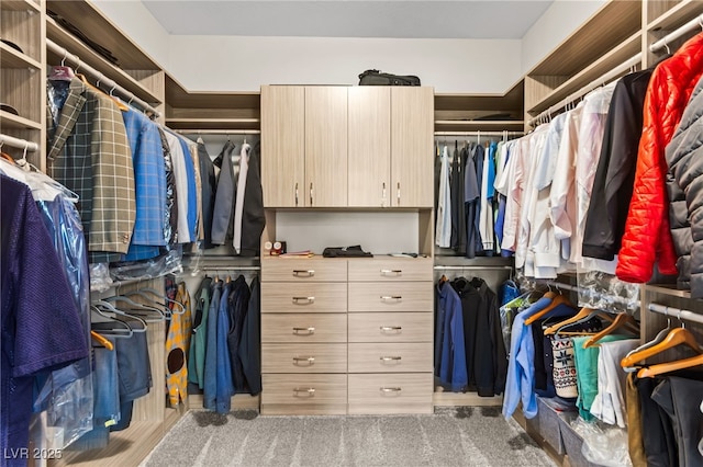 103 Reflection Cove Dr, Henderson, NV 89011 - view of spacious closet