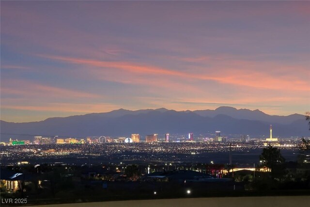 728 N Kiel St, Henderson, NV 89015 - photo 35