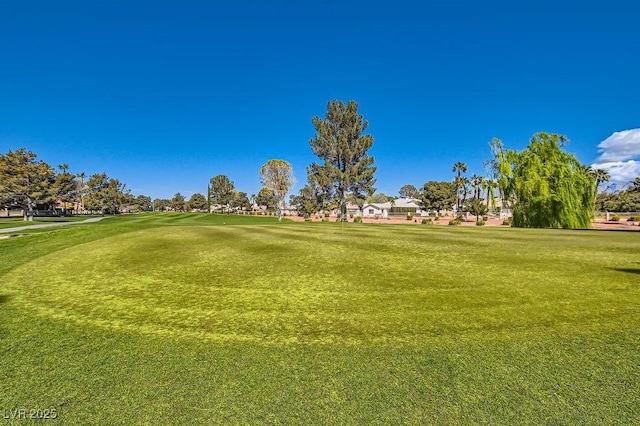 view of property's community featuring a yard