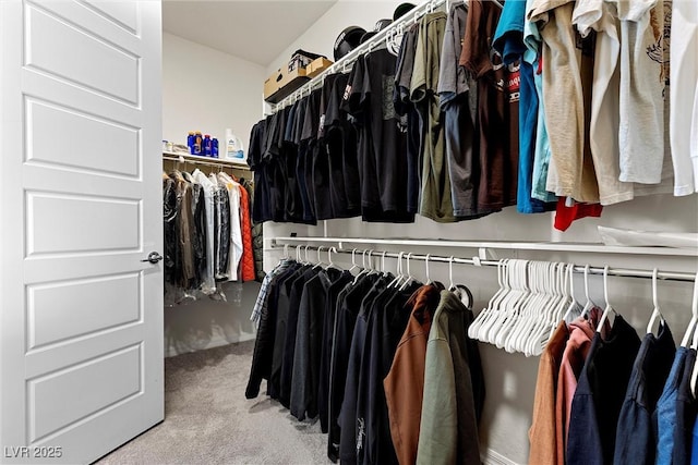 8107 Skye Sweep St, Las Vegas, NV 89166 - walk in closet featuring carpet flooring