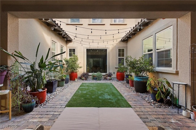 view of yard with a patio