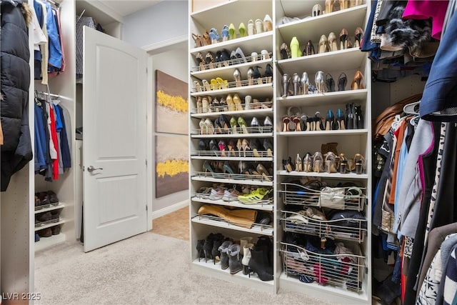 walk in closet with carpet floors