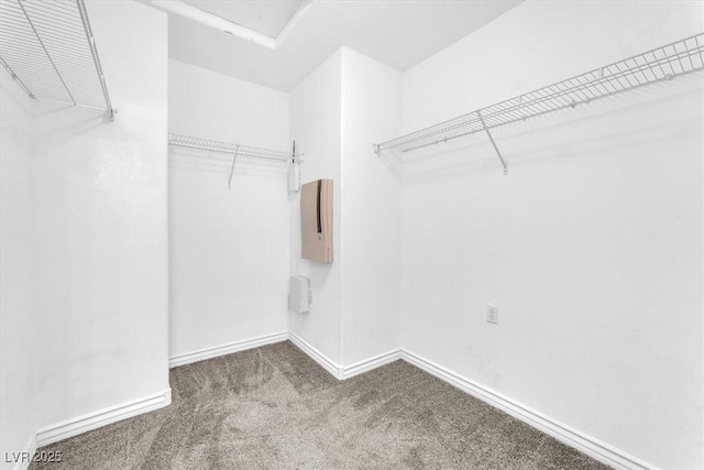 5060 Blue Rose St, North Las Vegas, NV 89081 - walk in closet featuring carpet floors