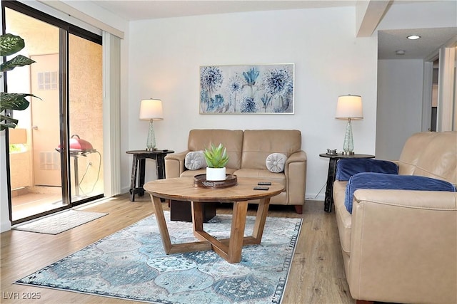living area featuring light wood-style floors