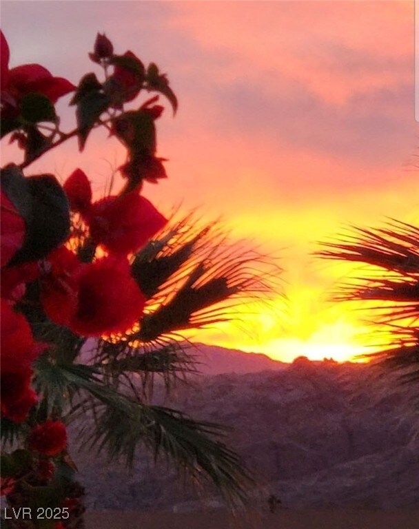 3740 Desert Marina Dr Unit 11, Laughlin, NV 89029 - view of mountain backdrop