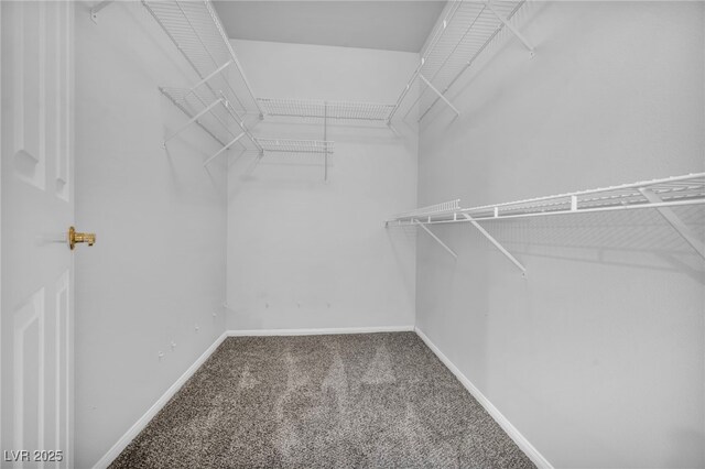 1074 Chaparral Dr, Mesquite, NV 89027 - walk in closet with carpet flooring