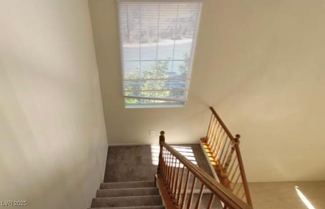 8768 Charm Canyon Ave, Las Vegas, NV 89178 - stairway featuring carpet flooring