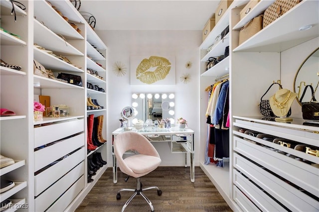 spacious closet featuring dark wood-style flooring