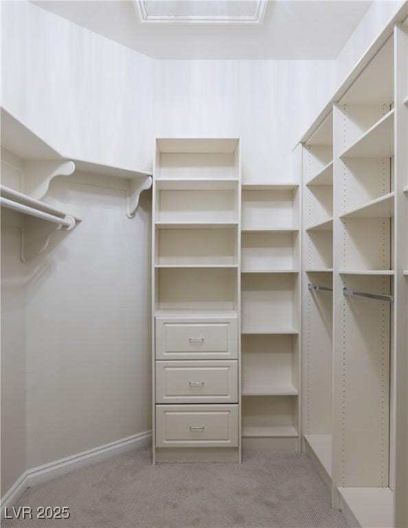 walk in closet featuring carpet floors