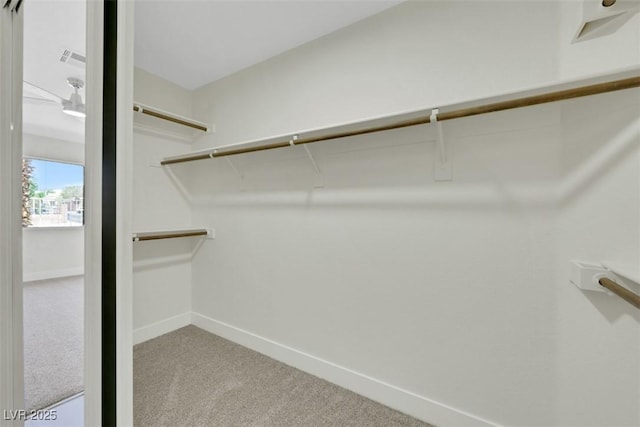 spacious closet with visible vents and carpet flooring