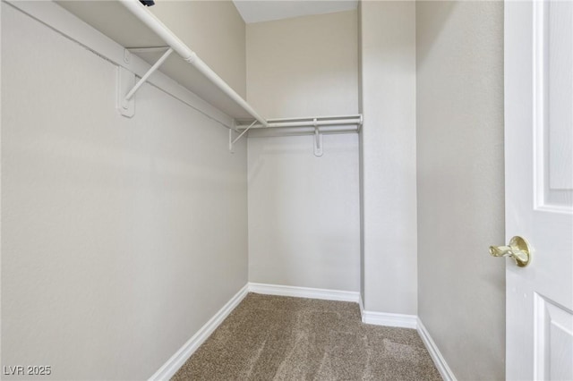 5286 Monterey Park Cir, Las Vegas, NV 89146 - spacious closet with carpet floors