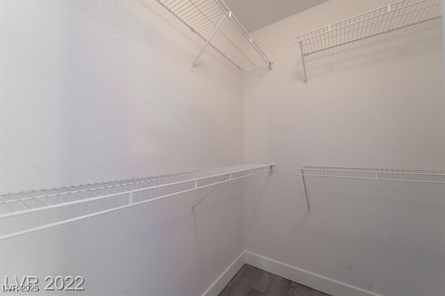 walk in closet with dark wood-style floors