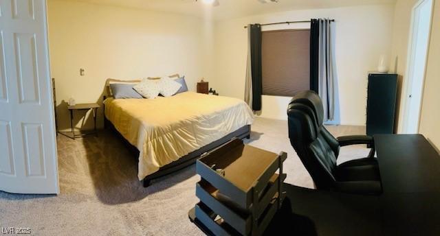 view of carpeted bedroom