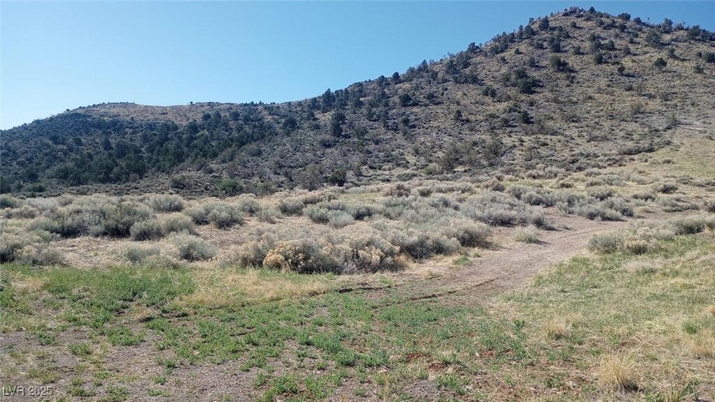 Field St, Pioche, NV 89043