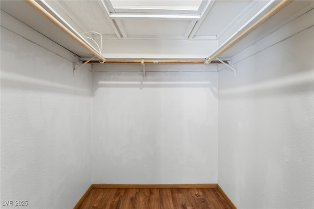 spacious closet featuring wood finished floors