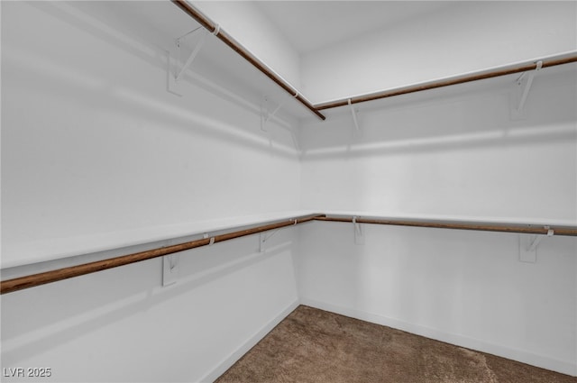 2809 Draughtsman Ct, Las Vegas, NV 89156 - photo 26